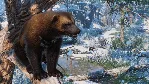 ⚫ Planet Zoo: Eurasia Animal Pack Steam Ключ РФ+Мир