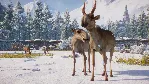 ⚫ Planet Zoo: Eurasia Animal Pack Steam Ключ РФ+Мир