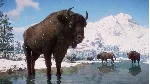 ⚫ Planet Zoo: Eurasia Animal Pack Steam Ключ РФ+Мир