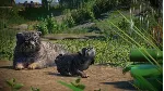 Planet Zoo: Zookeepers Animal Pack Steam Ключ РФ+Мир