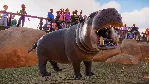 Planet Zoo: Deluxe Upgrade Pack Steam Ключ РФ+Мир +Бону