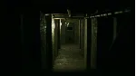 Manivore АВТОДОСТАВКА STEAM GLOBAL МГНОВЕННО ЛИЦЕНЗИЯ