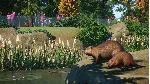 Planet Zoo: North America Animal Pack DLC STEAM АВТО