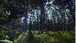 Way of the Hunter - Aurora Shores DLC STEAM АВТО