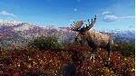 Way of the Hunter - Aurora Shores DLC STEAM АВТО