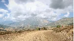 DiRT Rally 2.0 - Greece (Rally Location) DLC STEAM АВТО