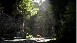 ✅ Spirit of the North 2 Xbox Series X|S активация