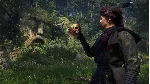 KINGDOM COME DELIVERANCE II BRUSHES WITH DEATH XBOX КОД
