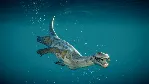 Jurassic World Evolution 2 Prehistoric Marine Pack DLC
