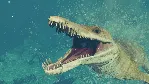 Jurassic World Evolution 2: Early Cretaceous Pack Steam - irongamers.ru