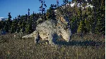 Jurassic World Evolution 2: Deluxe Upgrade Pack Steam - irongamers.ru