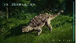 Jurassic World Evolution Deluxe Dinosaur Pack Steam Key - irongamers.ru