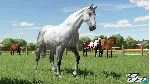 FARMING SIMULATOR 22 PC (WIN) КЛЮЧ/КОД