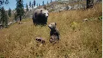 Railroads Online - Explorer DLC STEAM АВТО RU/UA/KZ/СНГ - irongamers.ru