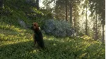 theHunter: Call of the Wild™ - Bloodhound DLC - irongamers.ru