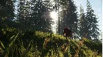 theHunter: Call of the Wild™ - Bloodhound DLC - irongamers.ru