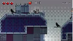 ✅ Raccoon is Hungry (Xbox One) активация