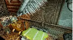 ✅ 101 Ways To Die Xbox One & Xbox Series X|S активация