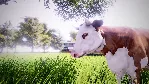 Real Farm Xbox One & Xbox Series X|S активация - irongamers.ru
