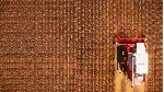 Real Farm Xbox One & Xbox Series X|S активация - irongamers.ru