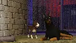The Sims 3 Pets (Питомцы) Ключ EA app РФ+Мир +Бонус