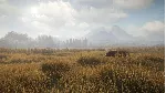 theHunter: Call of the Wild + 9 DLC Steam Ключ РФ+Мир