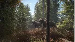 theHunter: Call of the Wild + 9 DLC Steam Ключ РФ+Мир
