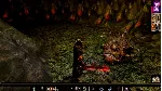 ⭐ Neverwinter Nights: Enhanced Edition Digital Deluxe G - irongamers.ru
