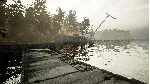 ⚫ Chernobylite | Premium Edition (+10 DLC) Steam Ключ