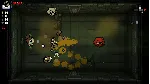 THE BINDING OF ISAAC: REPENTANCE XBOX SERIES S|X КЛЮЧ/К