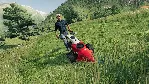 FARMING SIMULATOR 19 - PREMIUM EDITION (WINDOWS 10) PC