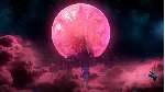 Nights of Azure (Steam Gift Россия) - irongamers.ru