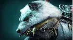 Warhammer 40,000: Space Marine 2 - Space Wolves Chapter