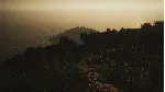 Lushfoil Photography Sim - STEAM GIFT РОССИЯ