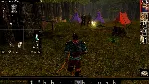 Neverwinter Nights Wyvern Crown of Cormyr Enhanced Ключ - irongamers.ru