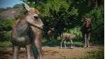 Planet Zoo: Asia Animal Pack✅ STEAM GIFT AUTO✅ RU+МИР