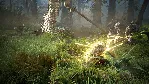 BLACK DESERT: НАБОР STANDARD XBOX SERIES S|X КЛЮЧ/КОД