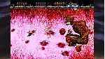 GLEYLANCER AND GYNOUG: CLASSIC SHMUPS PACK XBOX КЛЮЧ/КО