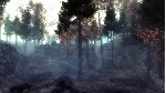 ✅ Slender: The Arrival (2014) Xbox One|X|S активация