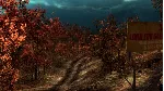✅ Slender: The Arrival (2014) Xbox One|X|S активация