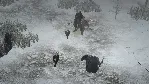 ✅ Animus: Revenant Xbox One & Xbox Series X|S активация