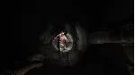 ✅ Allison's Diary: Rebirth Xbox One|X|S активация