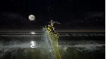 ✅ Surf World Series Xbox One|X|S активация
