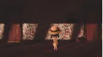 ✅ Where the Bees Make Honey Xbox One|X|S активация