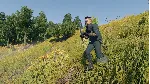 CRSED: F.O.A.D. - КОМПЛЕКТ "ГАЙКОЛОМ" XBOX КЛЮЧ/КОД - irongamers.ru