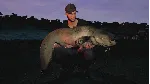 ✅ Euro Fishing: Castle Edition Xbox One|X|S активация