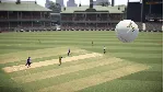 Don Bradman Cricket 17 Xbox One|X|S активация - irongamers.ru