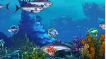 ✅ Feeding Frenzy 2 Xbox One & Xbox Series X|S активация