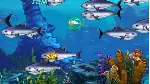 ✅ Feeding Frenzy 2 Xbox One & Xbox Series X|S активация