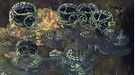 ✅ Torment: Tides of Numenera Xbox One|X|S активация